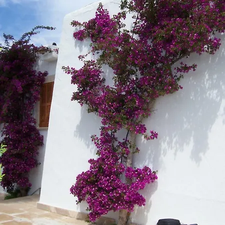 Villa Pastor Cala Anguila